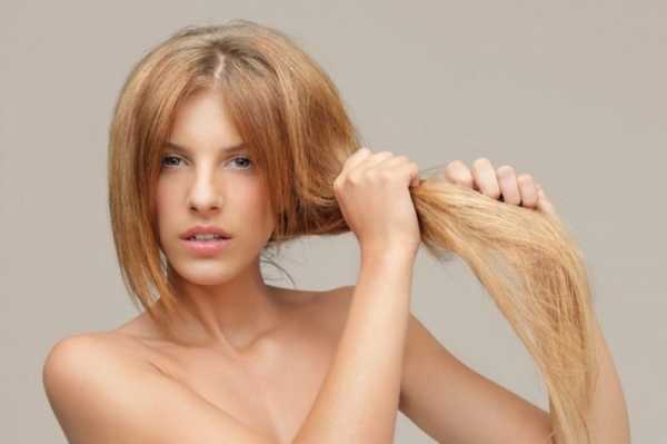 Как вылечить сухие кончики волос в домашних условиях. Как ухаживать за сухими волосами: народные средства, маски для волос